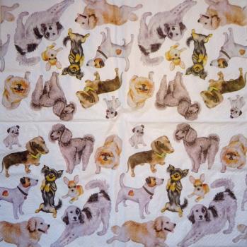 HUN-765 Dogs - 3-ply - Paw